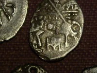 IMGP5406.webp