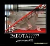 15833badef57.webp