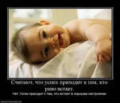 x_2516231c.webp