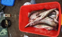 2011-10-31 13.34.22.webp