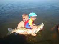 x_7bab5271.webp