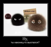 5b0f5e42f843.webp