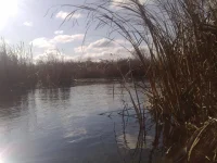051120111760.webp