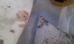IMAG0797.webp