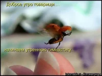 f501de568e30.webp