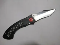 DSCN5466.webp