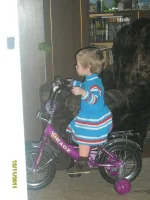 SL371890.webp