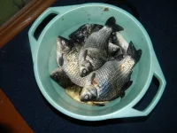 DSCN1041.webp