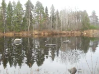 DSCN1175.webp