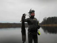 DSCN1181.webp