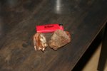 IMG_7439.jpg