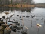 DSCN1176.jpg