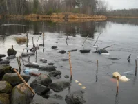 DSCN1176.webp