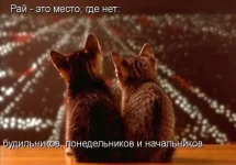 404253_387486.webp