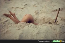 коп.webp