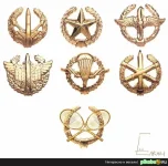 7zn.webp