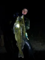 20112011156.webp