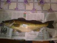 20112011255.webp