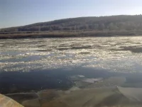 новое 083.webp