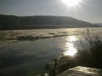 новое 078.webp