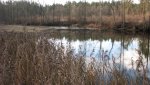 IMG_2368.jpg