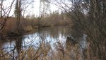 IMG_2369.jpg