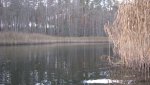 IMG_2380.jpg