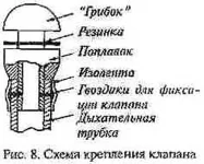 3_7.webp