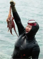 haenyu_indomitable_diving_grandmas_13.webp