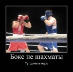 x_6c55bd5b.jpg