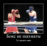 x_6c55bd5b.webp