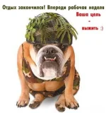 0_62ac6_b5d8ed6d_L.webp
