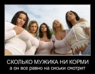 f13ca4bc50d1c096e39fb3a47fac44e3a873c250_1.webp