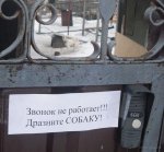 дразните собаку.jpg