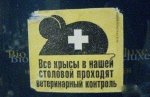 крысы.jpg