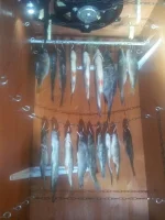 2011-12-08 23.35.06.webp