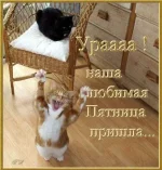76565784_55380222_1266535920_488b59059e4a.webp