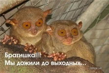c1fb5b1cc306.webp