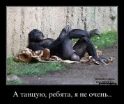 499020-a_tantsuiu_rebiata_ia_ne_ocheni.webp