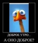 i.webp