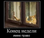 s640x480.webp