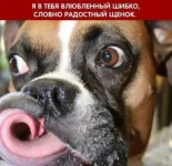 2.webp