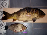 DSC02904.webp