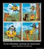 1111.webp