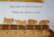 getImage (33).webp