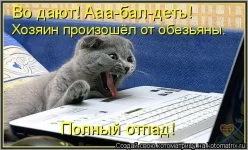 1054412.webp