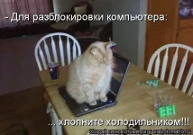 getImage (87).webp