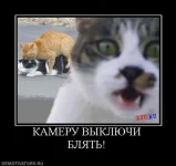 )))).webp