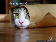 getImage (55).webp