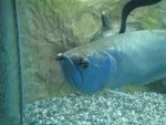 IMG_1790.jpg